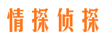 城西市侦探调查公司